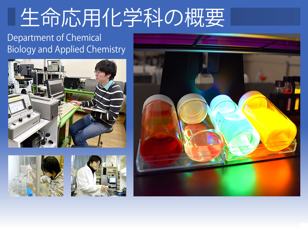 生命応用化学科の概要 生命応用化学科・生命応用化学専攻 日本大学工学部 生命応用化学科の概要 生命応用化学科・生命応用化学専攻 日本大学工学部