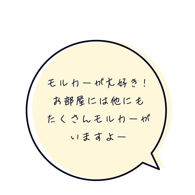 ライフスタイル01 菊池葉月さん キャプション03