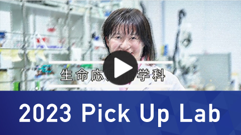 2023 Pick Up Lab 生命応用化学科 ナノバイオ研究室 卒業生のインタビュー