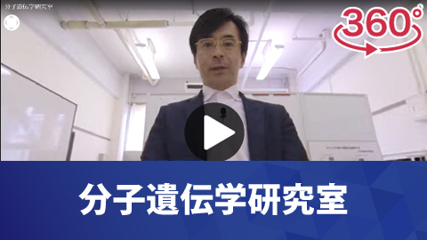 分子遺伝学研究室