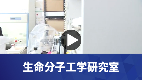 生命分子工学研究室