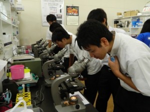 工学の世界や研究を堪能!