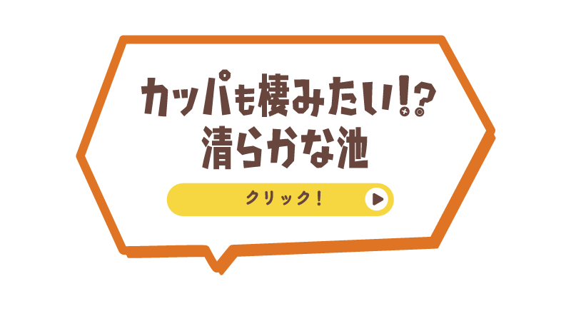 カッパも棲みたい!清らかな池