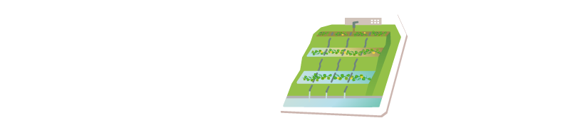 微生物と植物が水をきれいにする！？