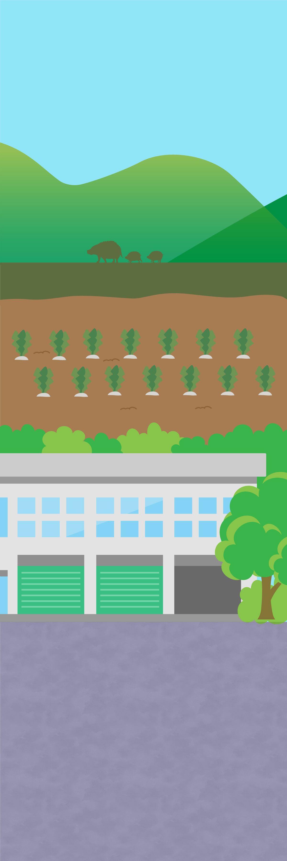 社会の中の背景